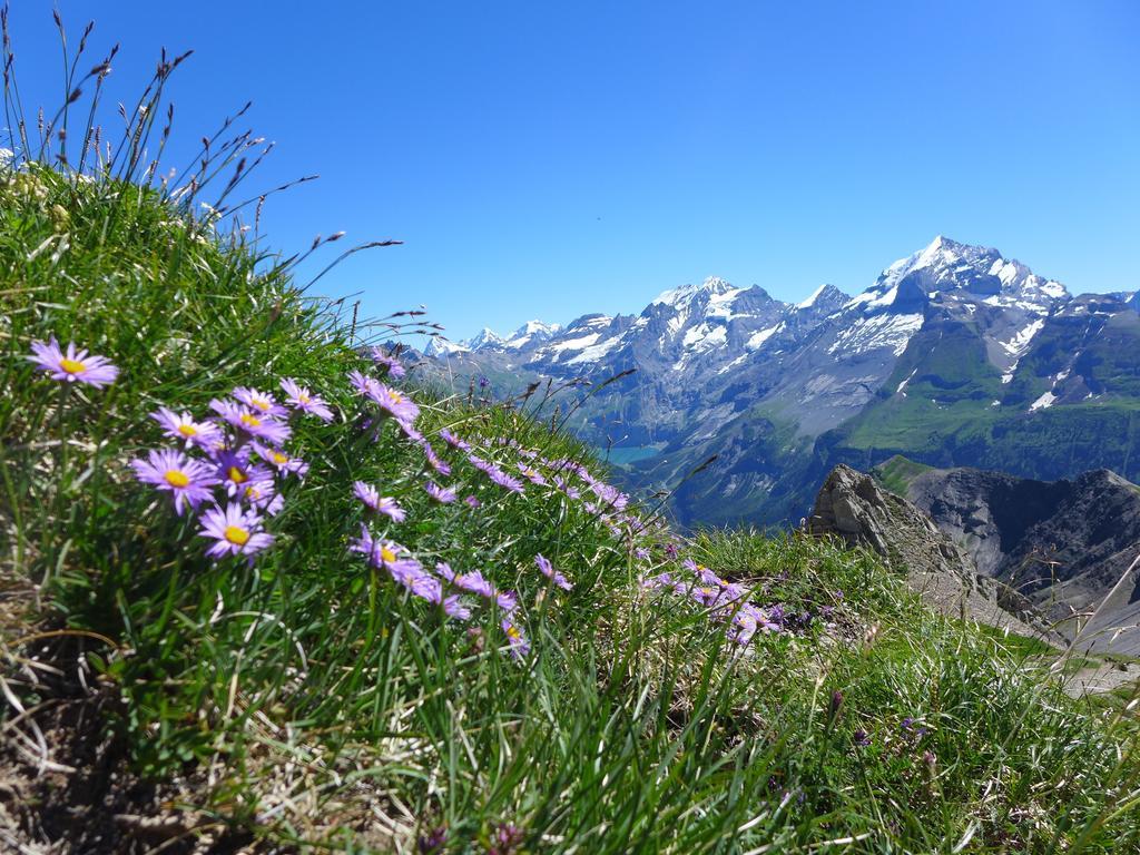 Hami Villa Adelboden Kamer foto